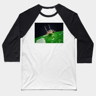 A gorgeous metallic jumper (Siler semiglaucus) raising its arms from a Monstera Thai constellation! It's also know as colorful jumping spider and jade jumping spider Baseball T-Shirt